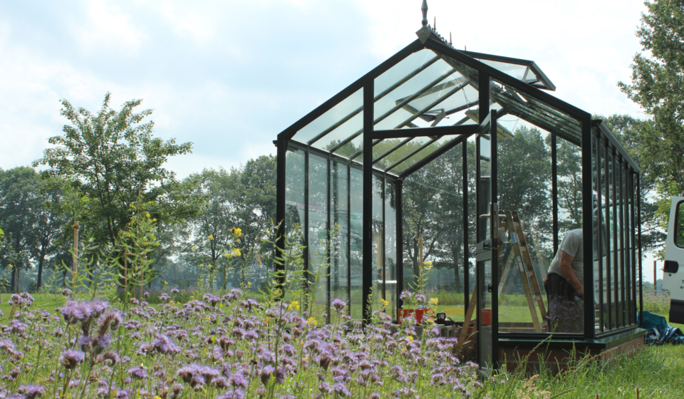 Fertig - das neue Highlight des Gartens steht. Jetzt kann das neue Glasgewächshaus bepflanzt werden.