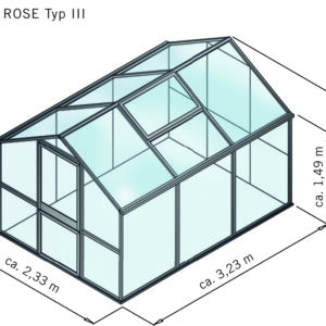 Rose Typ III